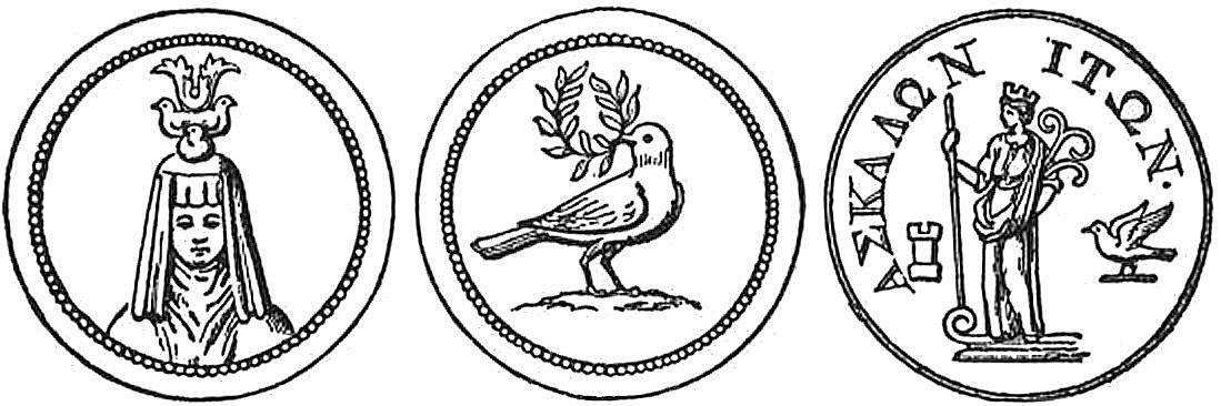 La colombe et la branche d'olivier de Junon l'Assyrienne ou la Vierge Vénus.