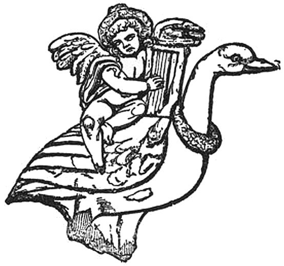 L'oie du Cupidon.