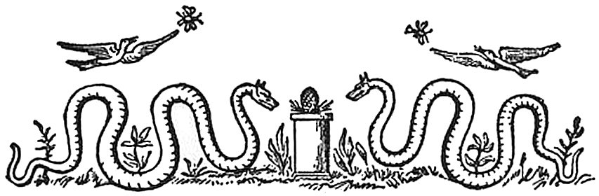 Le symbole de Beel-Zebub.